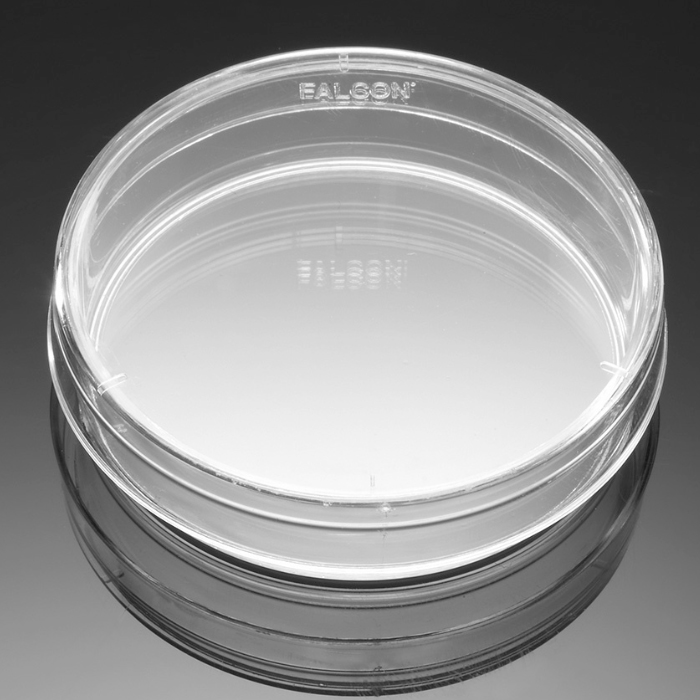 Falcon® TC-treated IVF Dish 60 mm